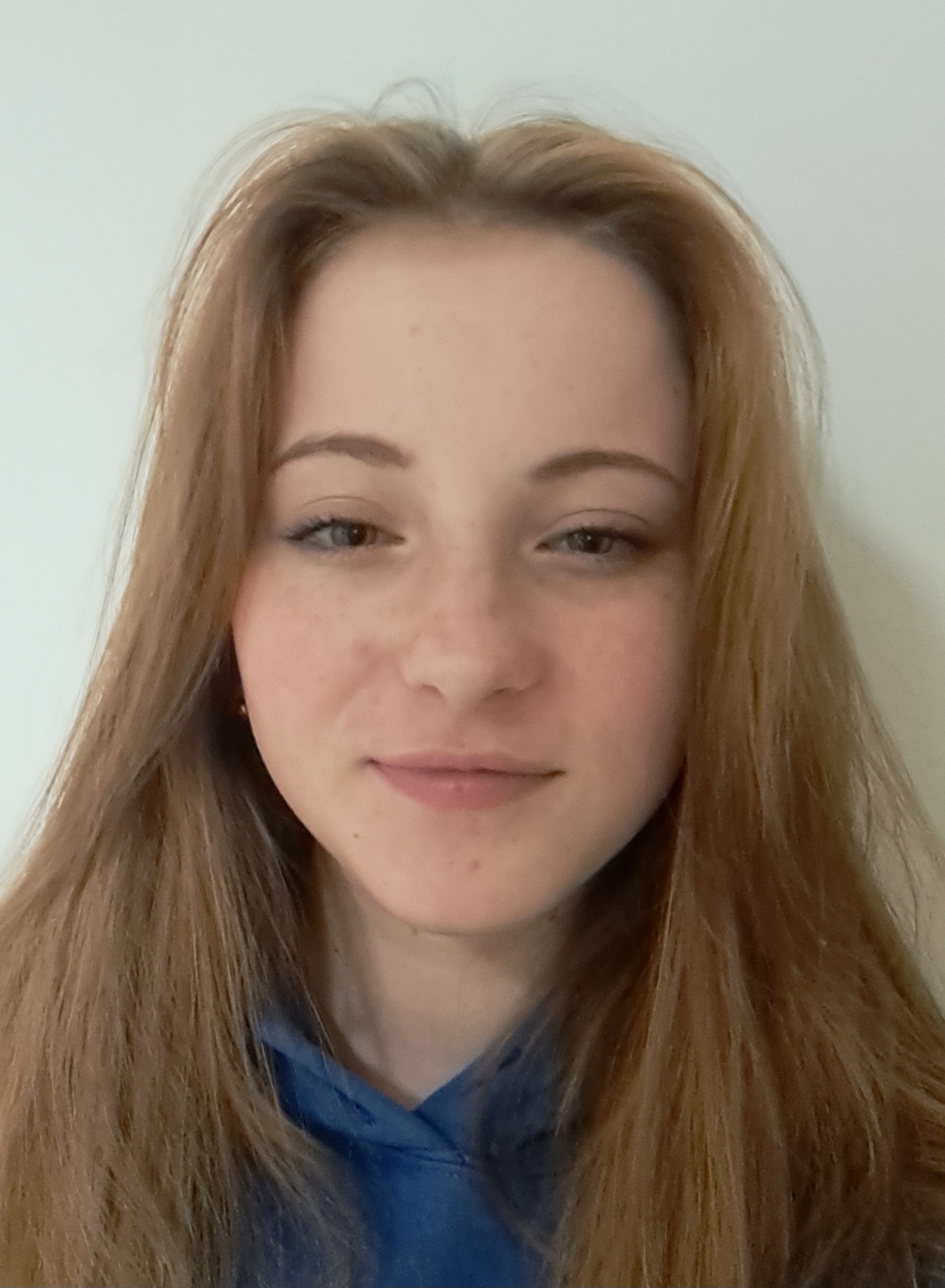 skatingherobanner