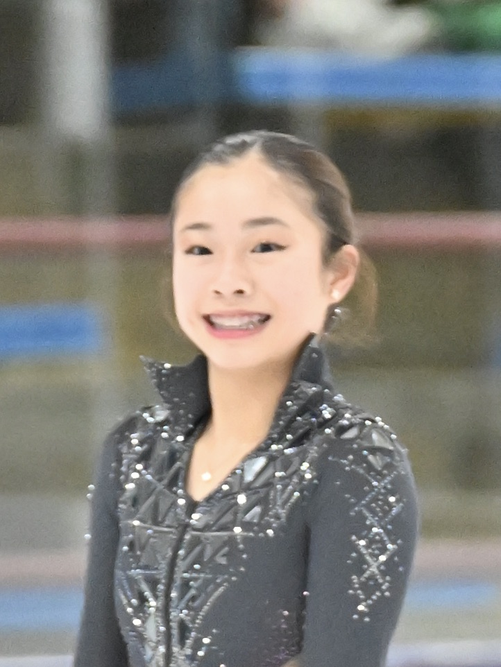 skatingherobanner