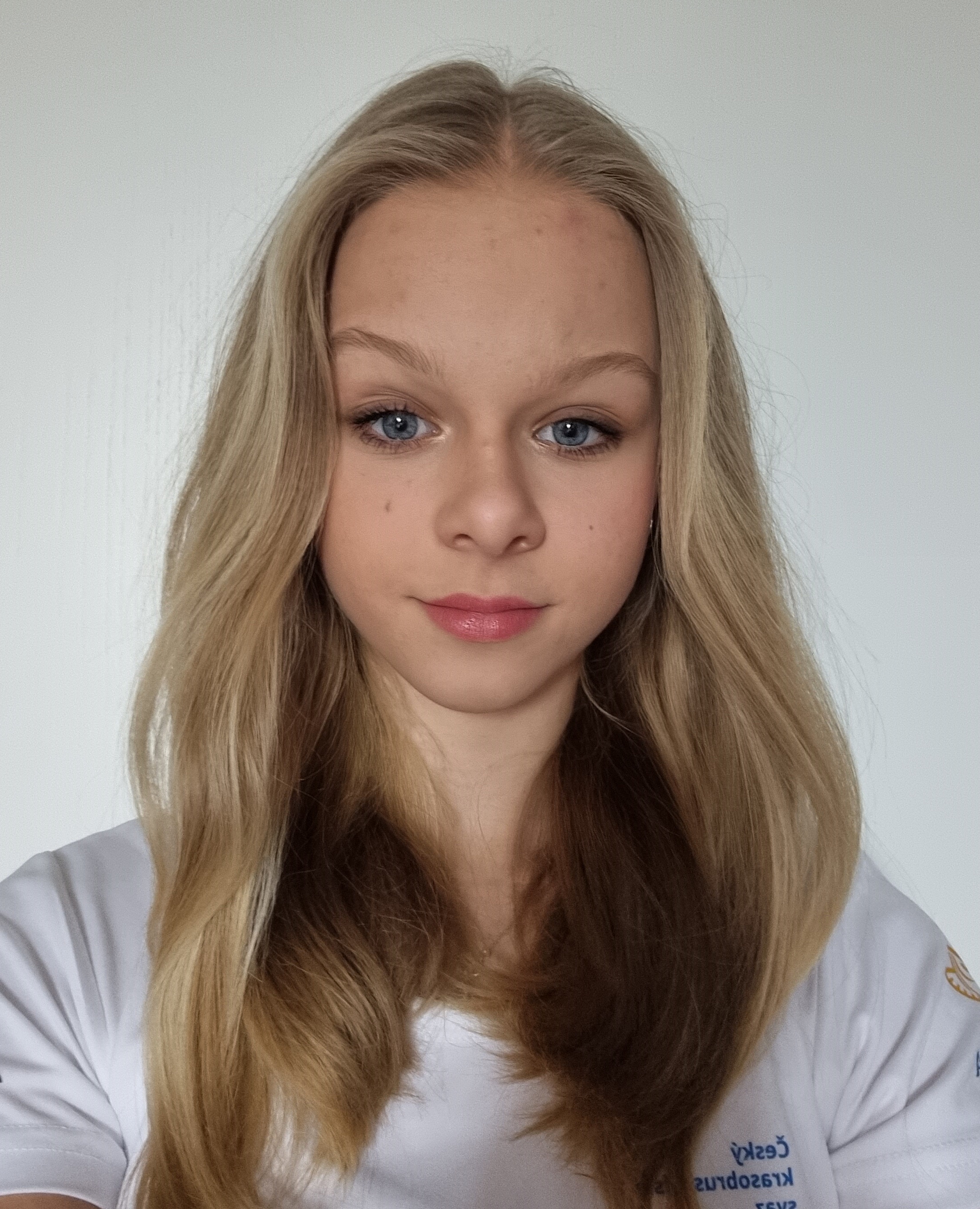 skatingherobanner