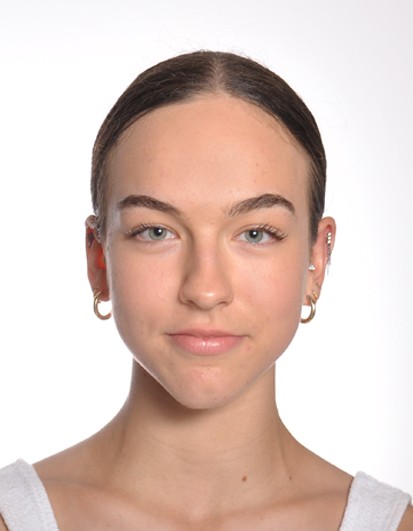 skatingherobanner